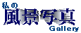 私の「風景写真」Gallery へ リンク