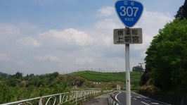 滋賀県甲賀市信楽町 上朝宮 向こうにはお茶畑