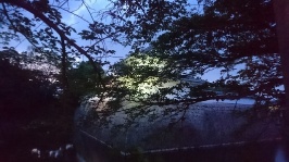 琵琶湖　向こうに見えるは、大津プリンスホテルでは？