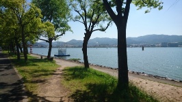 滋賀県 瀬田川 川岸沿いに「瀬田の唐橋」に向かう