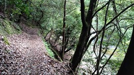 清滝川沿いにハイキング