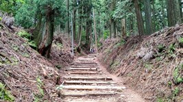 清滝から愛宕山に登る・・我にはキツイね