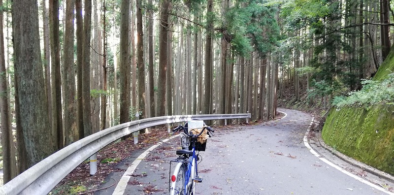 Ƃ͌Rԕ̓zŒʉߎԗ͏Ȃ