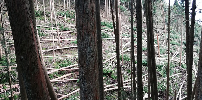 قǂ܂łɐrȔЏ󋵂Ƃ́EE